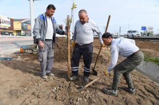 Sarısu Mahallesi´ne 15 bin metrekare peyzaj