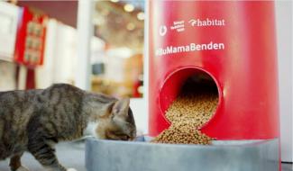 Türkiye Vodafone Vakfı´ndan ´Salgında sokak hayvanlarını unutma´ çağrısı