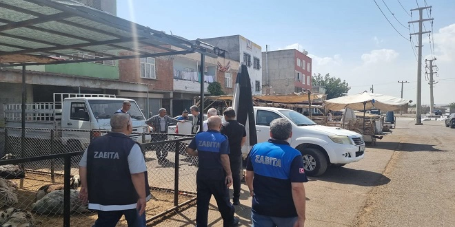 Zabıta ekipleri şap hastalığına karşı denetim ve bilgilendirme yaptı