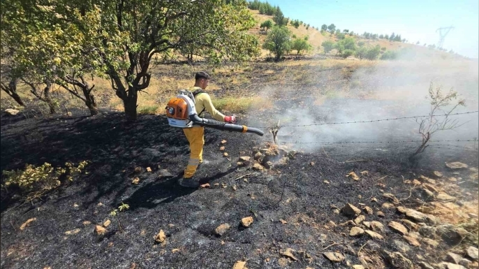 Diyarbakır’da yüksek gerilim hattına çarpan kuş yangına neden oldu